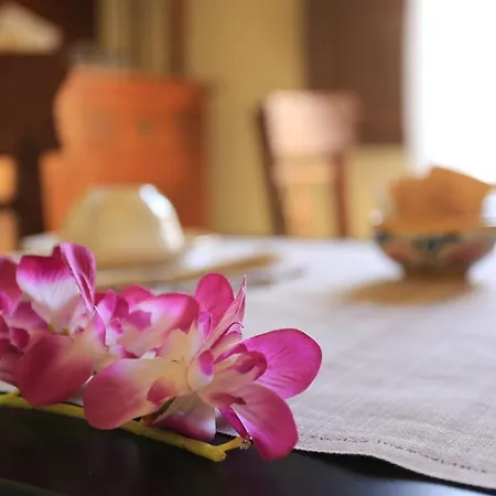 Bed & Breakfast Casa Annunziata